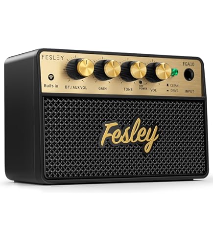 Roland CUBE-20GX Guitar Combo Amplifier : Amazon.in: Musical